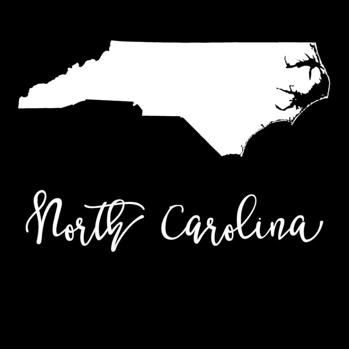 State of North Carolina - Custom Size - Image 9