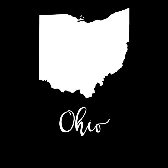 State of Ohio - Custom Size - Image 9