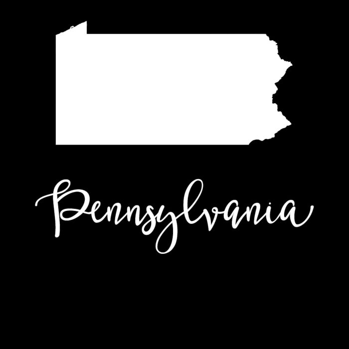 State of Pennsylvania - Custom Size - Image 9
