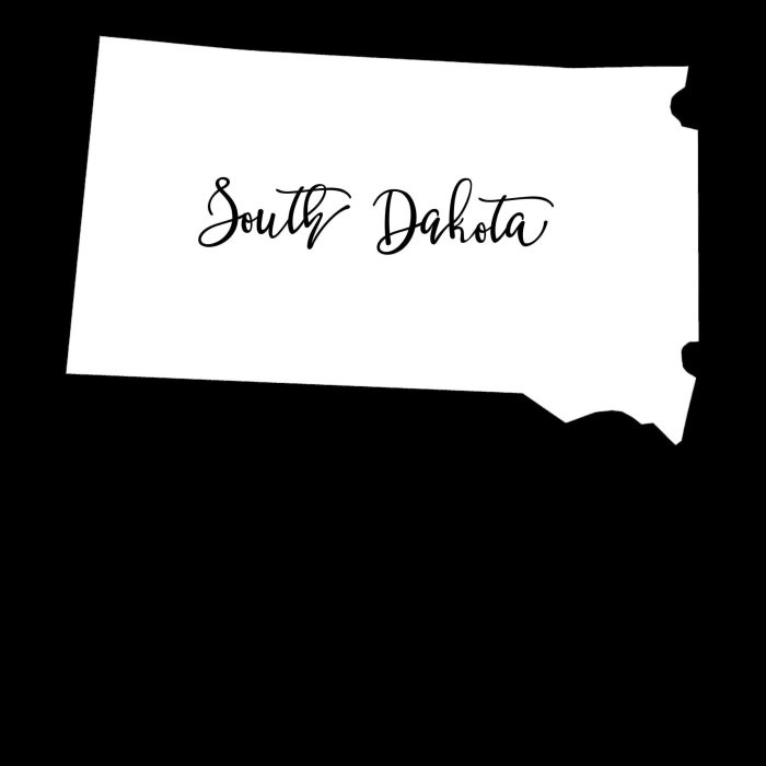 State of South Dakota - Custom Size - Image 9