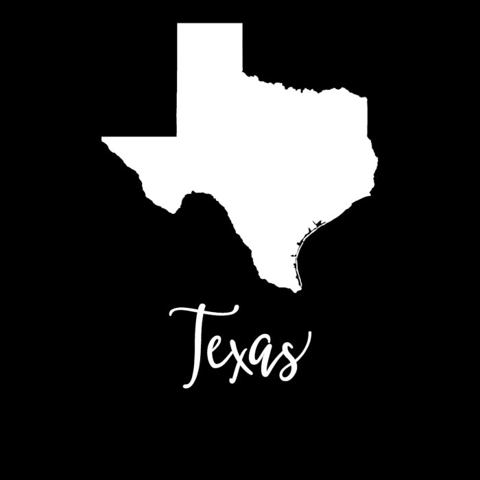 State of Texas - Custom Size - Image 9