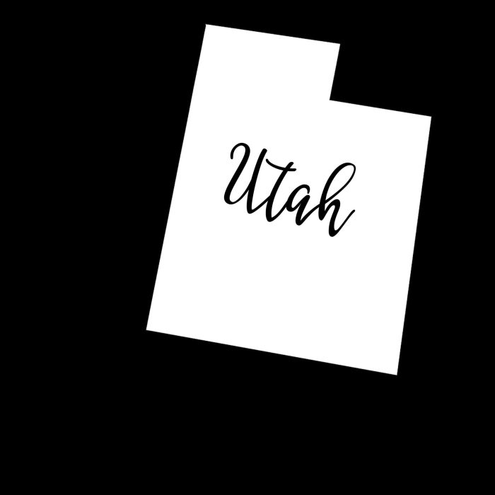 State of Utah - Custom Size - Image 10