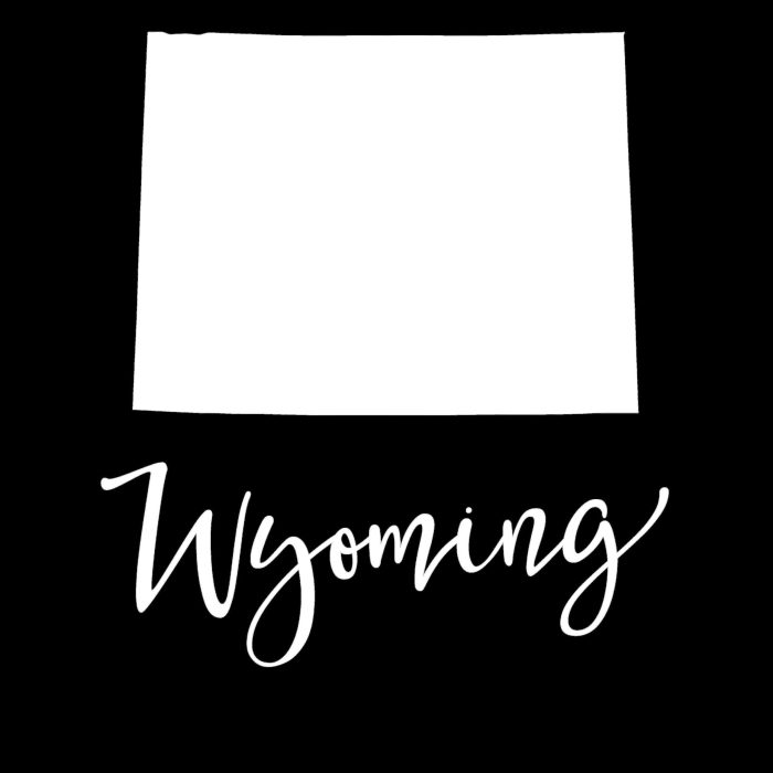 State of Wyoming - Custom Size - Image 10
