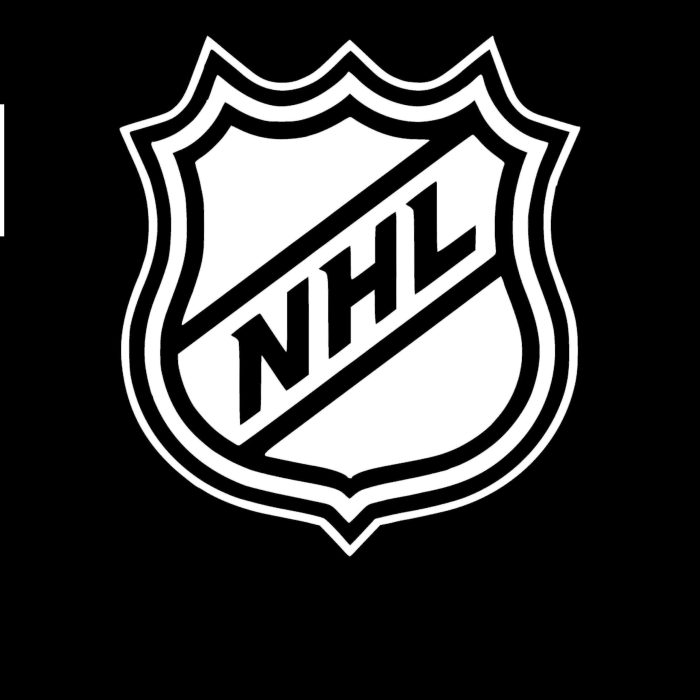 NHL Logo Vinyl Decal - Custom Size - Image 8