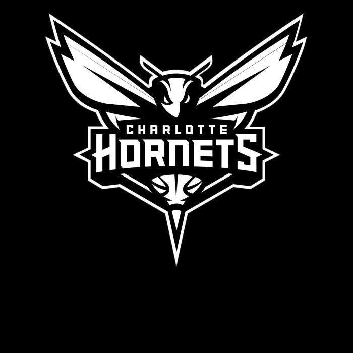 Charlotte Hornets Vinyl Decal - Custom Size - Image 8