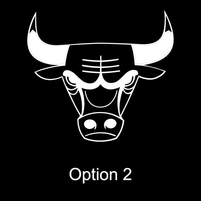 Chicago Bulls Vinyl Decal - Custom Size - Image 9