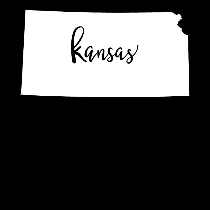 State of Kansas - Custom Size - Image 8