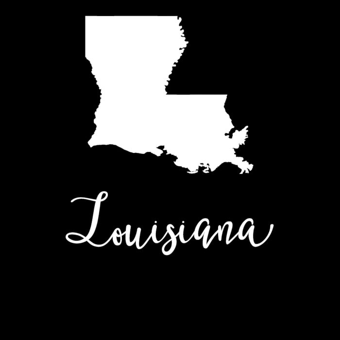 State of Louisiana Vinyl Decal - Custom Size - Image 9