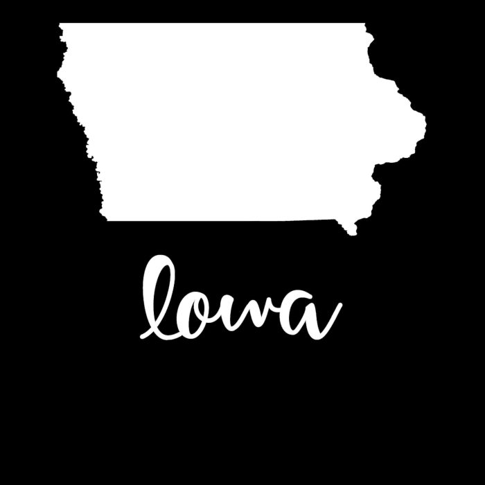State of Iowa - Custom Size - Image 9