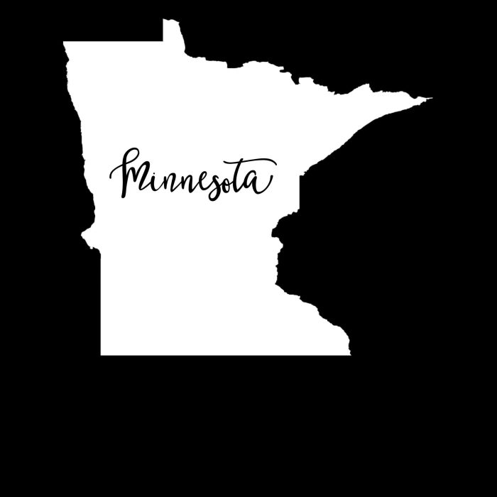 State of Minnesota Vinyl Decal - Custom Size - Image 8