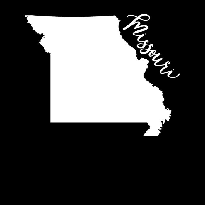 State of Missouri - Custom Size - Image 9