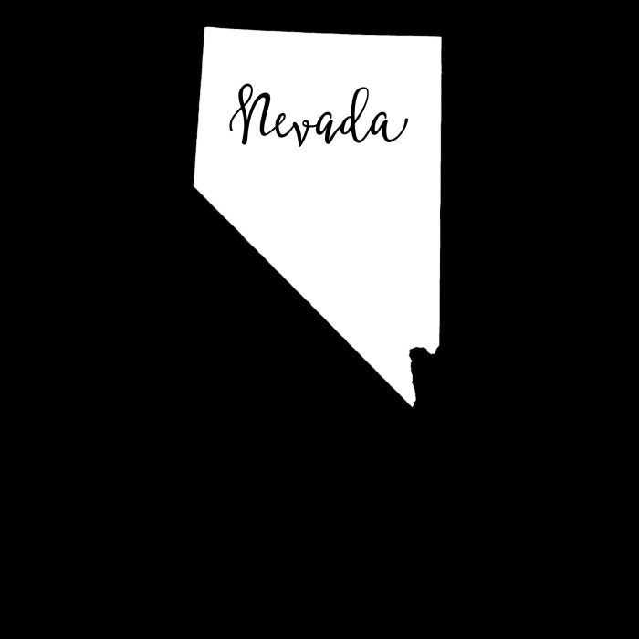 State of Nevada - Custom Size - Image 10