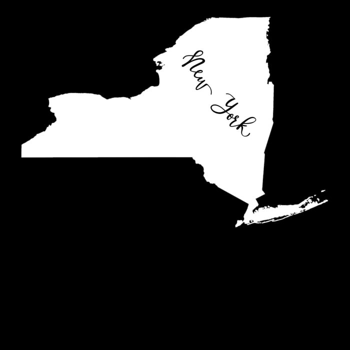 State of New York - Custom Size - Image 10
