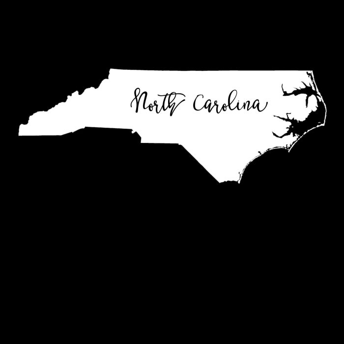 State of North Carolina - Custom Size - Image 10