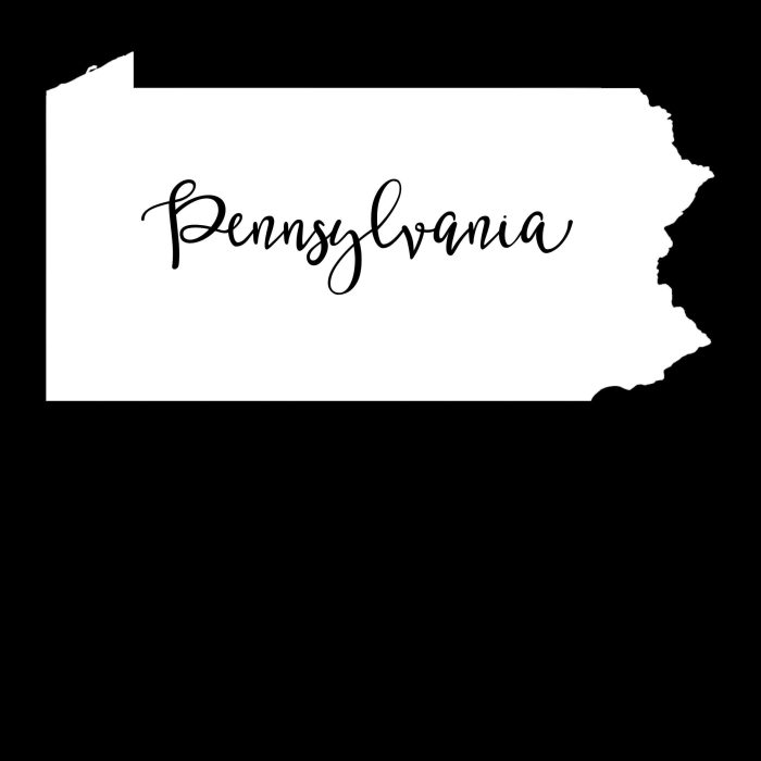 State of Pennsylvania - Custom Size - Image 10