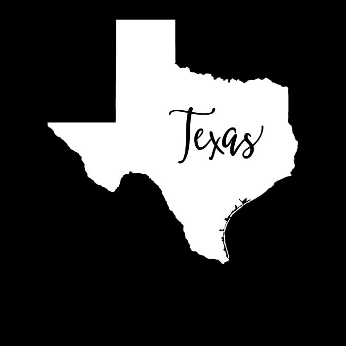 State of Texas - Custom Size - Image 10