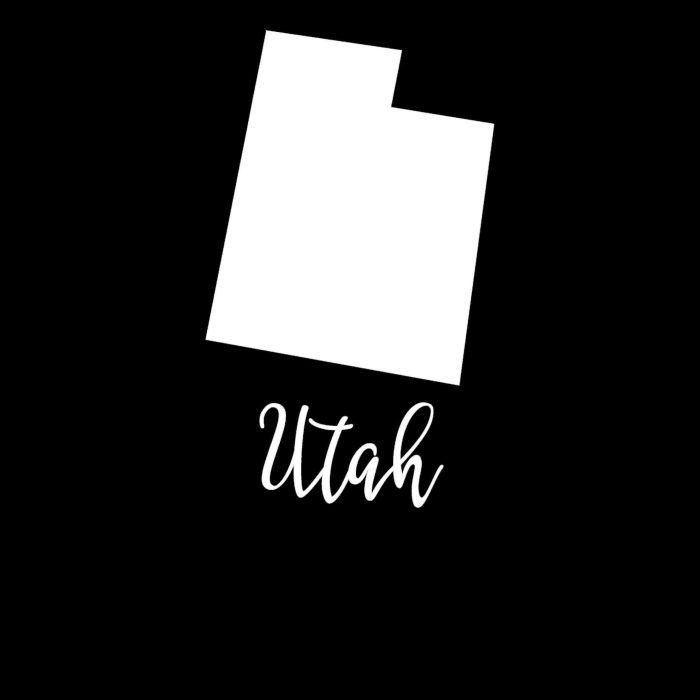 State of Utah - Custom Size - Image 8