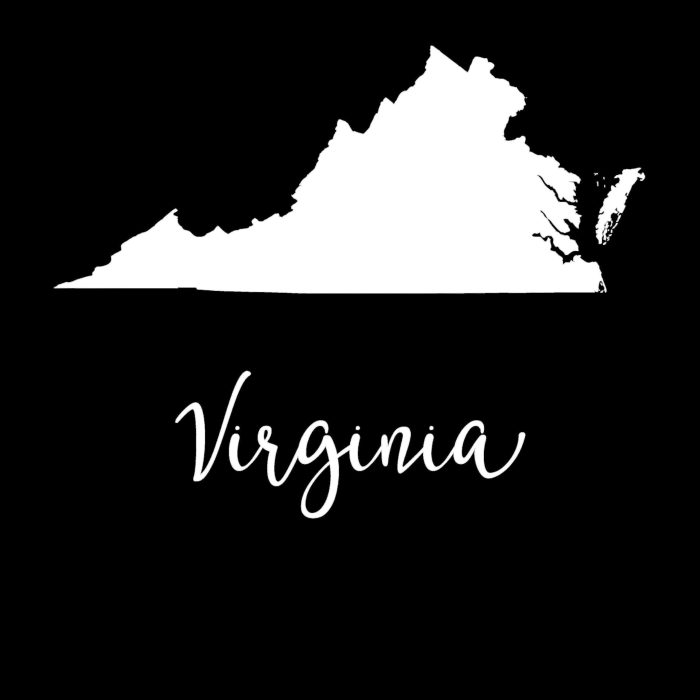 State of Virginia - Custom Size - Image 9