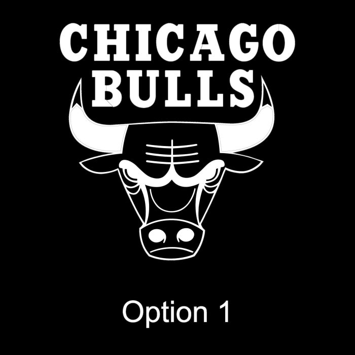 Chicago Bulls Vinyl Decal - Custom Size - Image 8