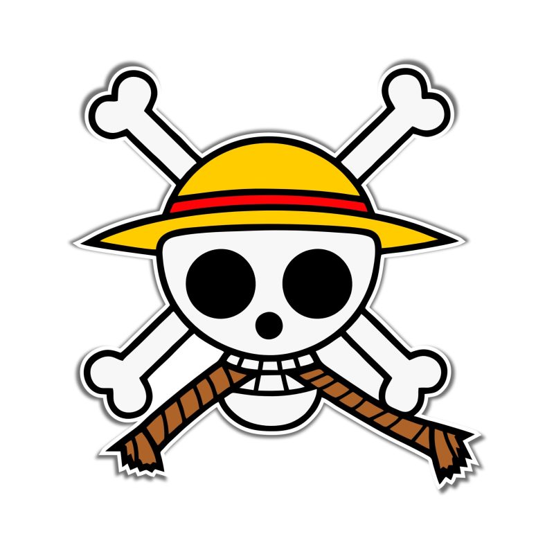 Skull Full Color Vinyl Decal - Custom Size