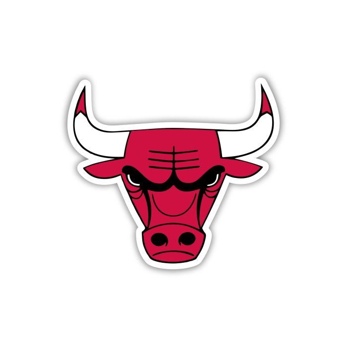 Chicago Bulls - Bull Head - Temporary Tattoo