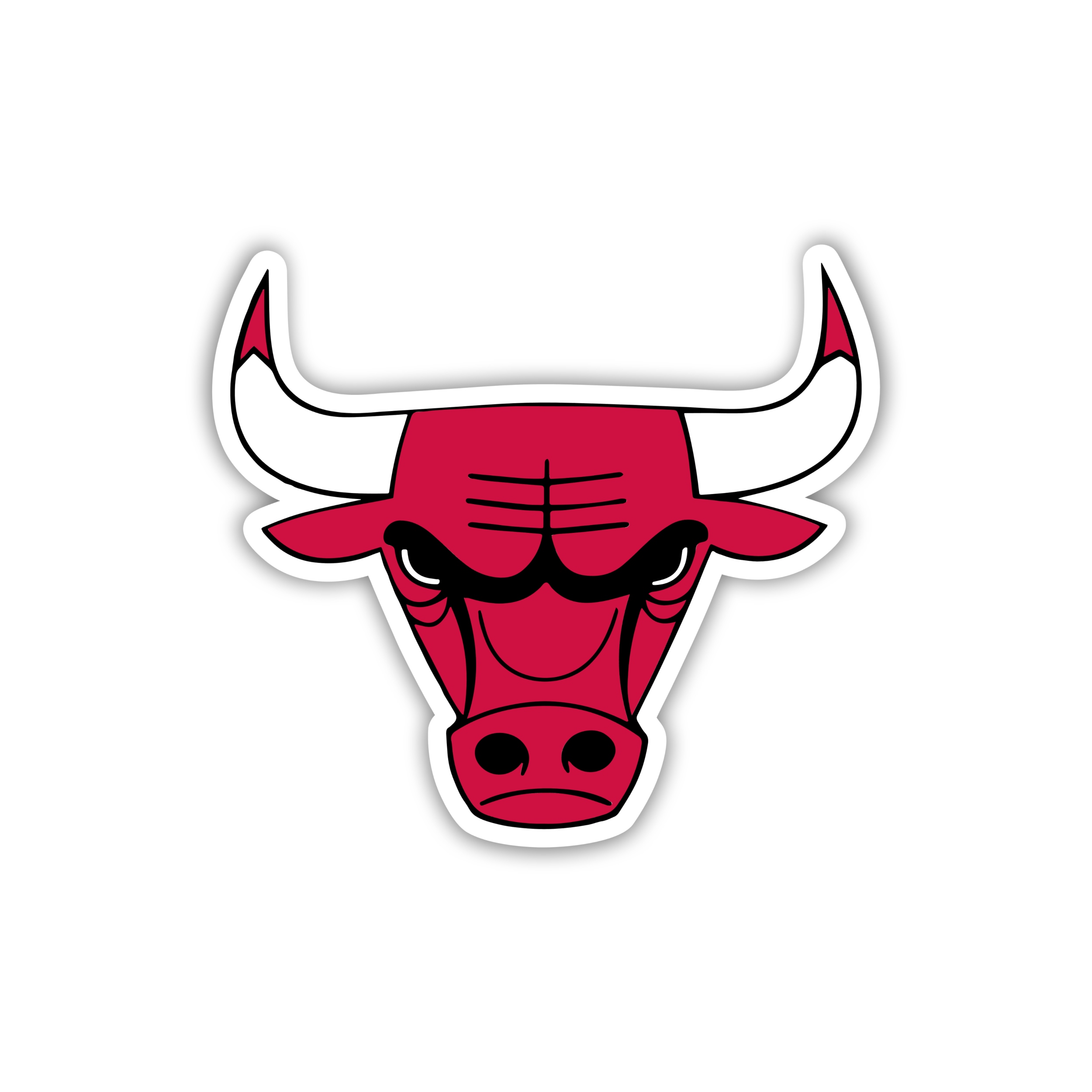 Chicago Bulls - Bull Head - Temporary Tattoo