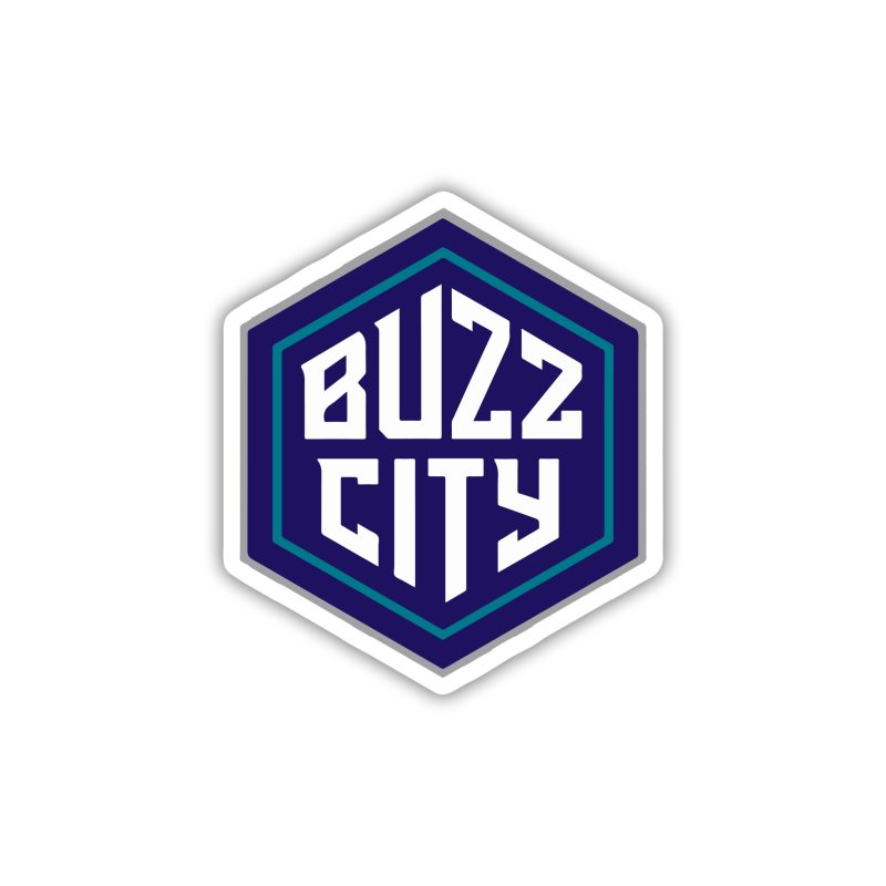 Charlotte Hornets - Buzz City - Temporary Tattoo