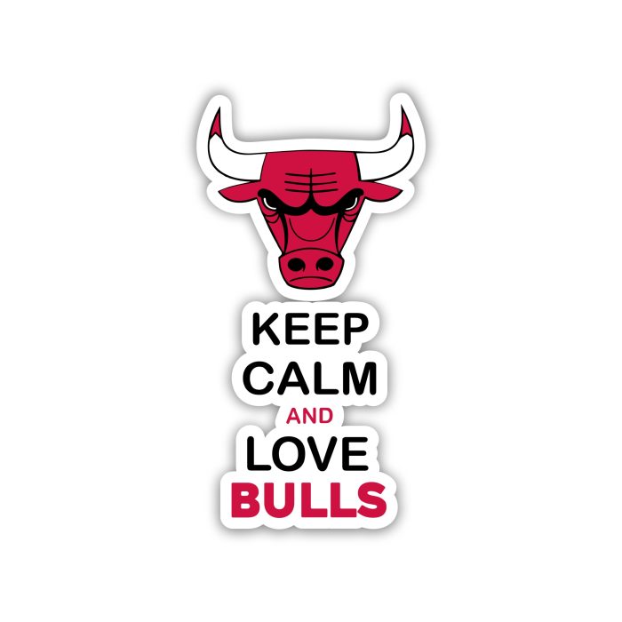 Chicago Bulls - Keep Calm And Love Bulls - Temporary Tattoo