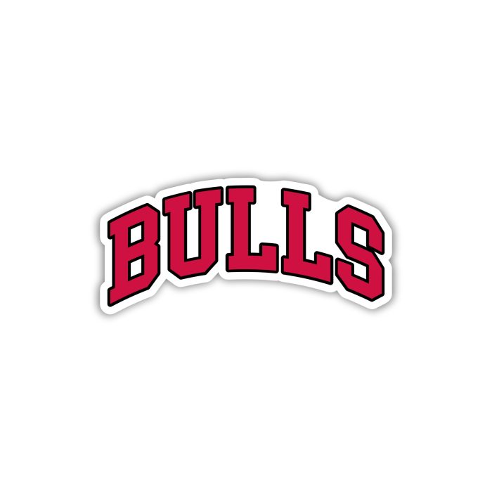 Chicago Bulls - Bulls - Temporary Tattoo