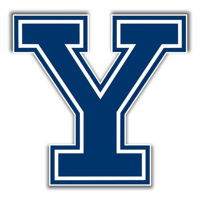 Yale - Y - Full Color Vinyl Sticker - Custom Size