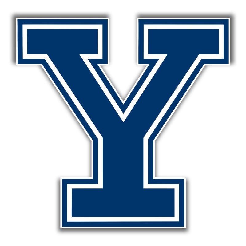 Yale - Y - Full Color Vinyl Sticker - Custom Size