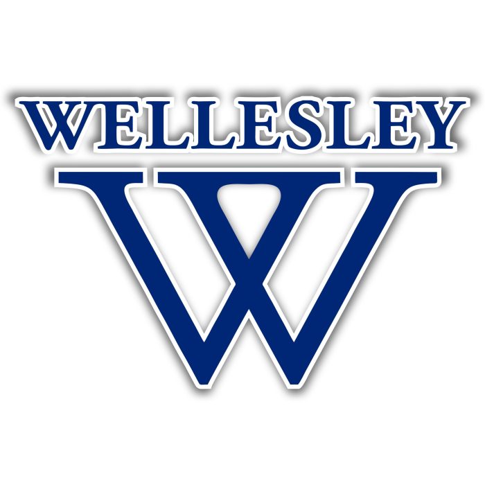 WELLESLEY - Full Color Vinyl Sticker - Custom Size