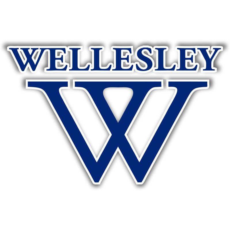 WELLESLEY - Full Color Vinyl Sticker - Custom Size