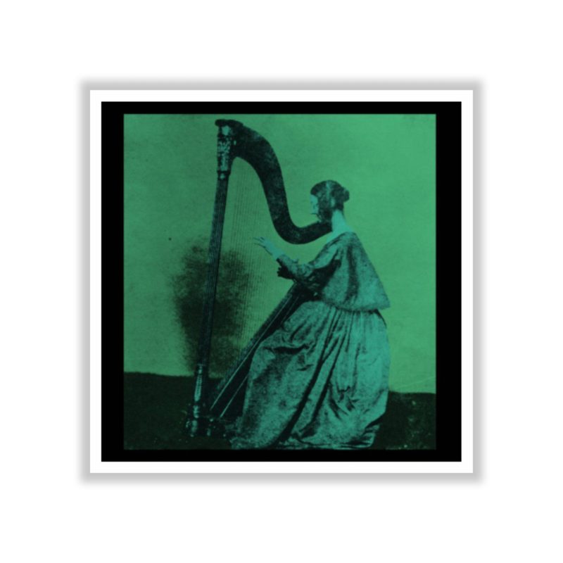 Tv Girl - Grapes Upon The Vine Album Cover - Full Color Vinyl Sticker - Custom Size