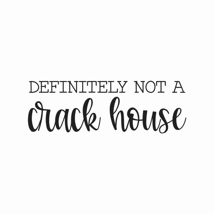 Definitely Not a Crack House Vinyl Decal - Custom Size
