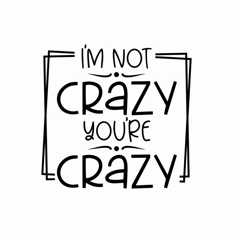 I'm Not Crazy You're Crazy - Vinyl Decal- Custom Size