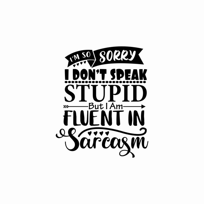 I Don't Speak Stupid Vinyl Decal - Custom Size
