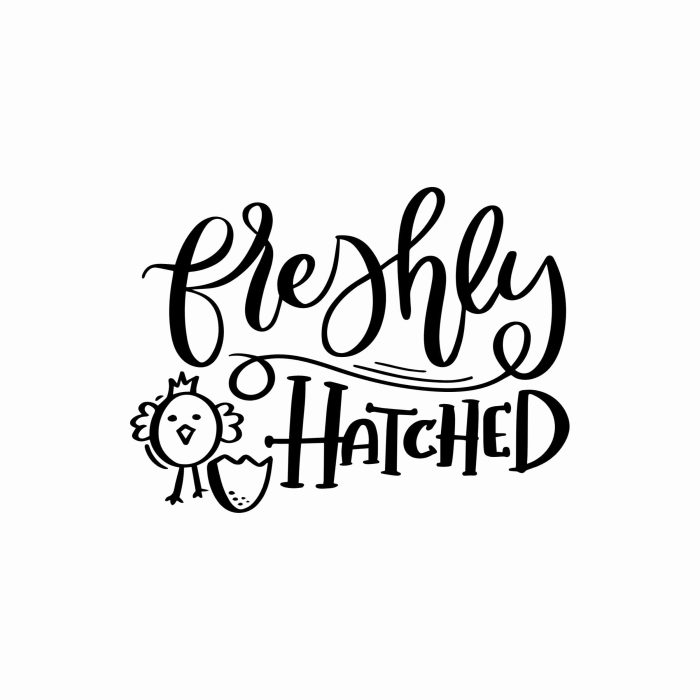 Freshly Hatched - Vinyl Decal- Custom Size