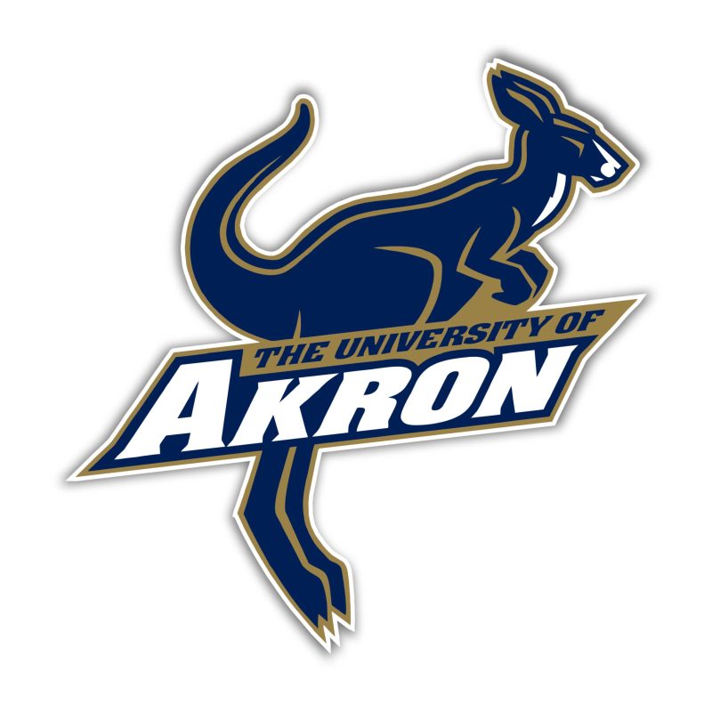 Akron Zips Full Color Vinyl Decal - Custom Size