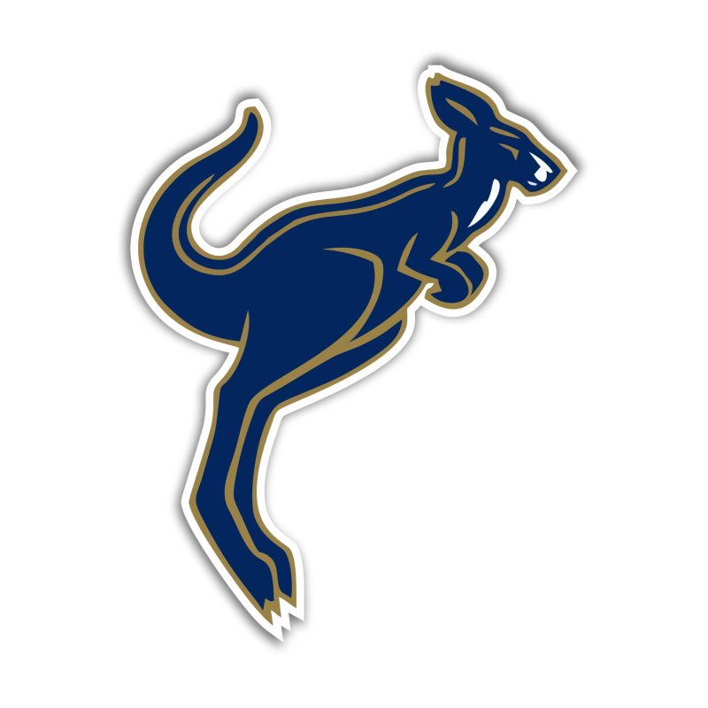 Akron Zips Full Color Vinyl Decal - Custom Size