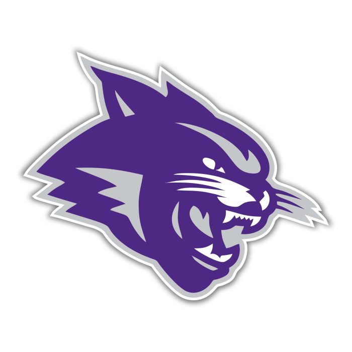 Abeline Christian Wildcats Full Color Vinyl Decal - Custom Size