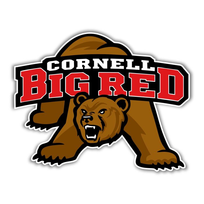 Cornell Big Red Full Color Vinyl Decal - Custom Size