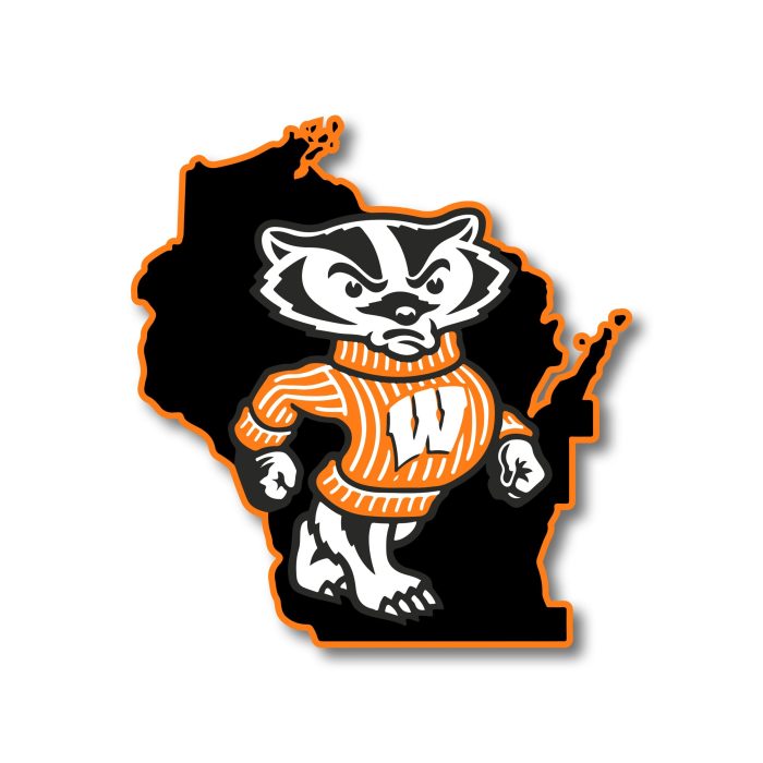 Wisconsin Badgers Full Color Vinyl Decal - Custom Size