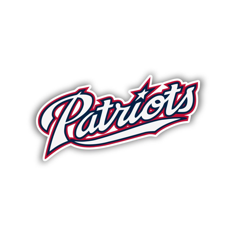 New England Patriots Full Color Vinyl Sticker - Custom Size