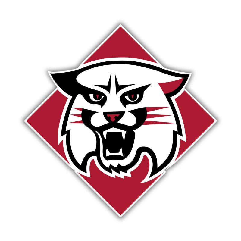 Davidson Wildcats Full Color Vinyl Decal - Custom Size