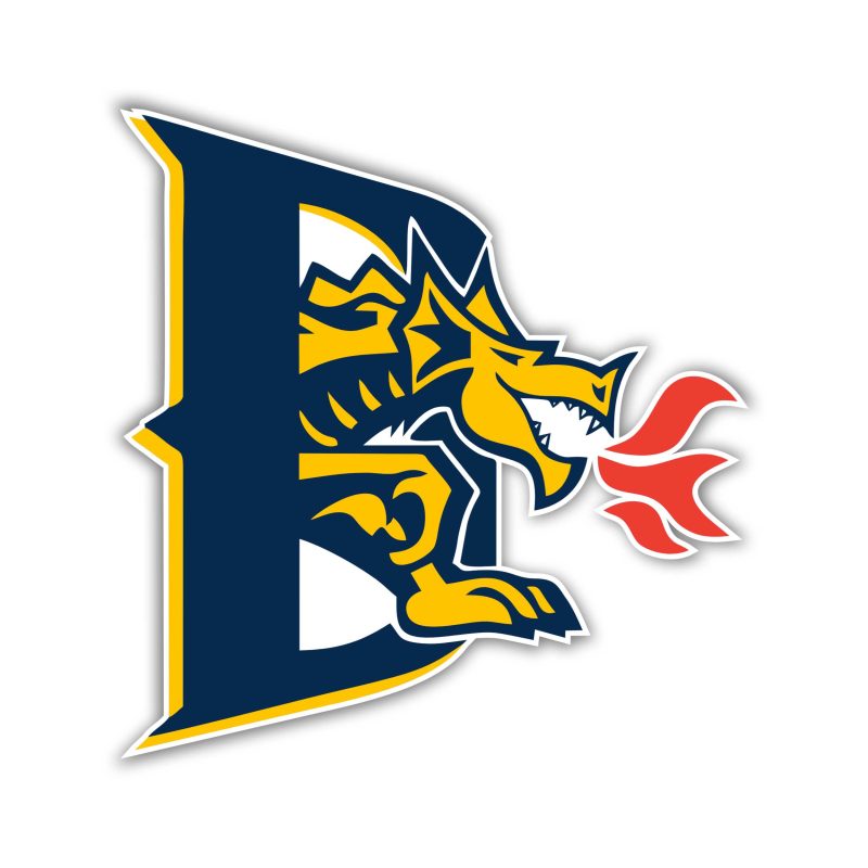 Drexel Dragons Full Color Vinyl Decal - Custom Size