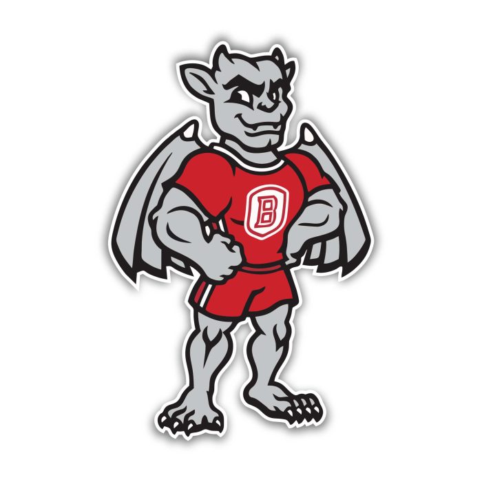 Bradley Braves Full Color Vinyl Decal - Custom Size