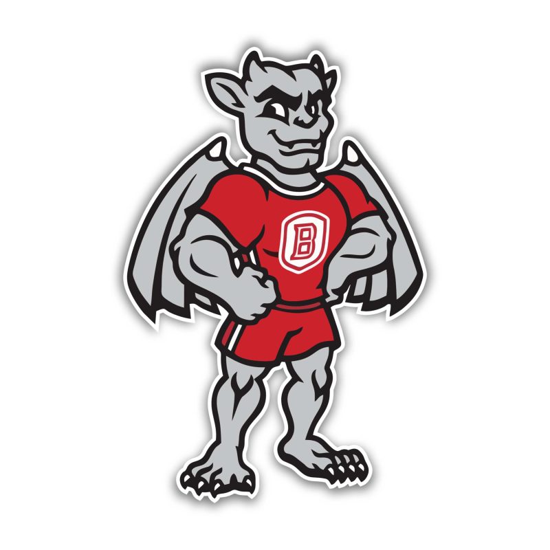 Bradley Braves Full Color Vinyl Decal - Custom Size