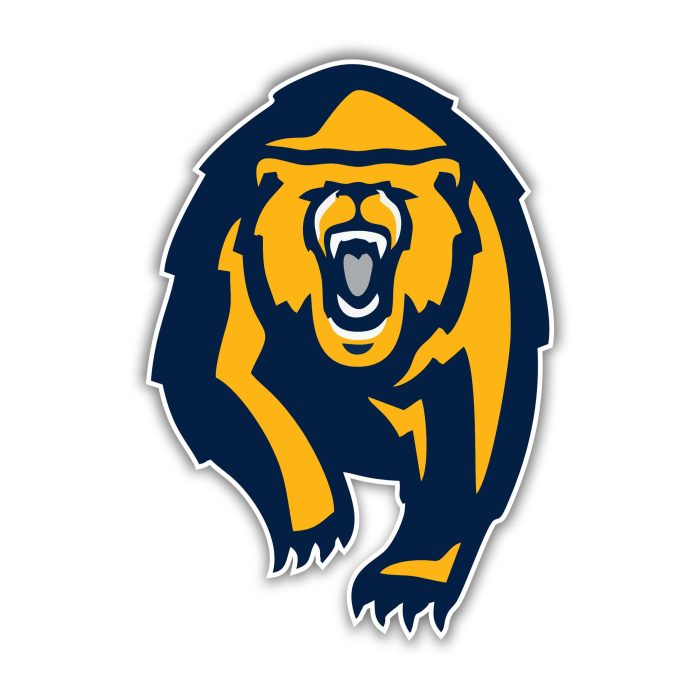 California Golden Bears Full Color Vinyl Decal - Custom Size