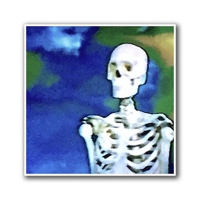 Bones Album Cover Full Color Vinyl Decal - Custom Size